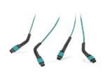 Molex Soluciones multifibra MTP/MPO FlexiBend