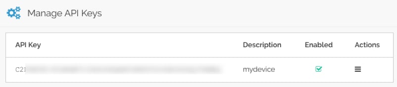 Newly Created API Key