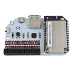 Imagen ampliada de Onion OM-D-EXP