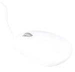 Imagen ampliada de Raspberry Pi SC1685